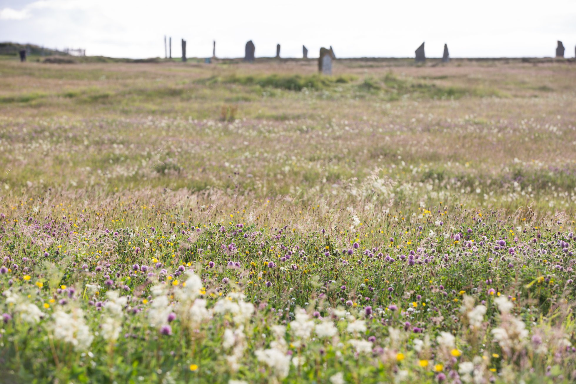 Nature and Neolithic