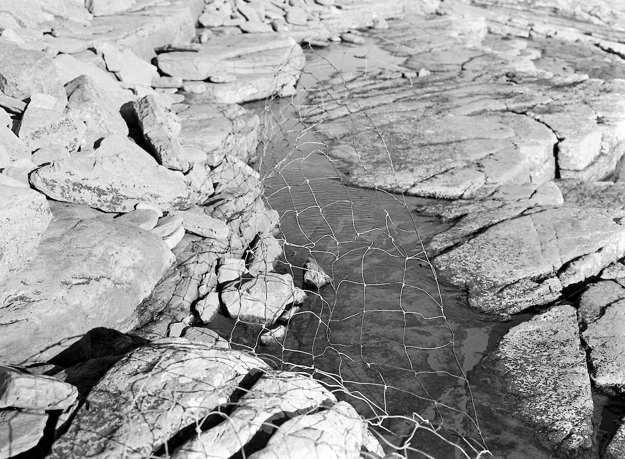 North Ronaldsay, Orkney - image by Frances Scott