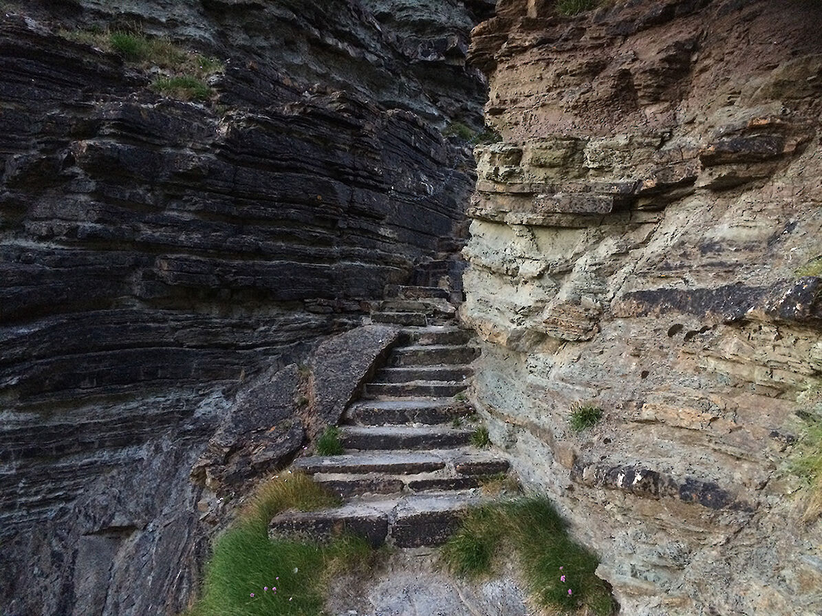 Brough of Deerness, Orkney - image by Frances Scott