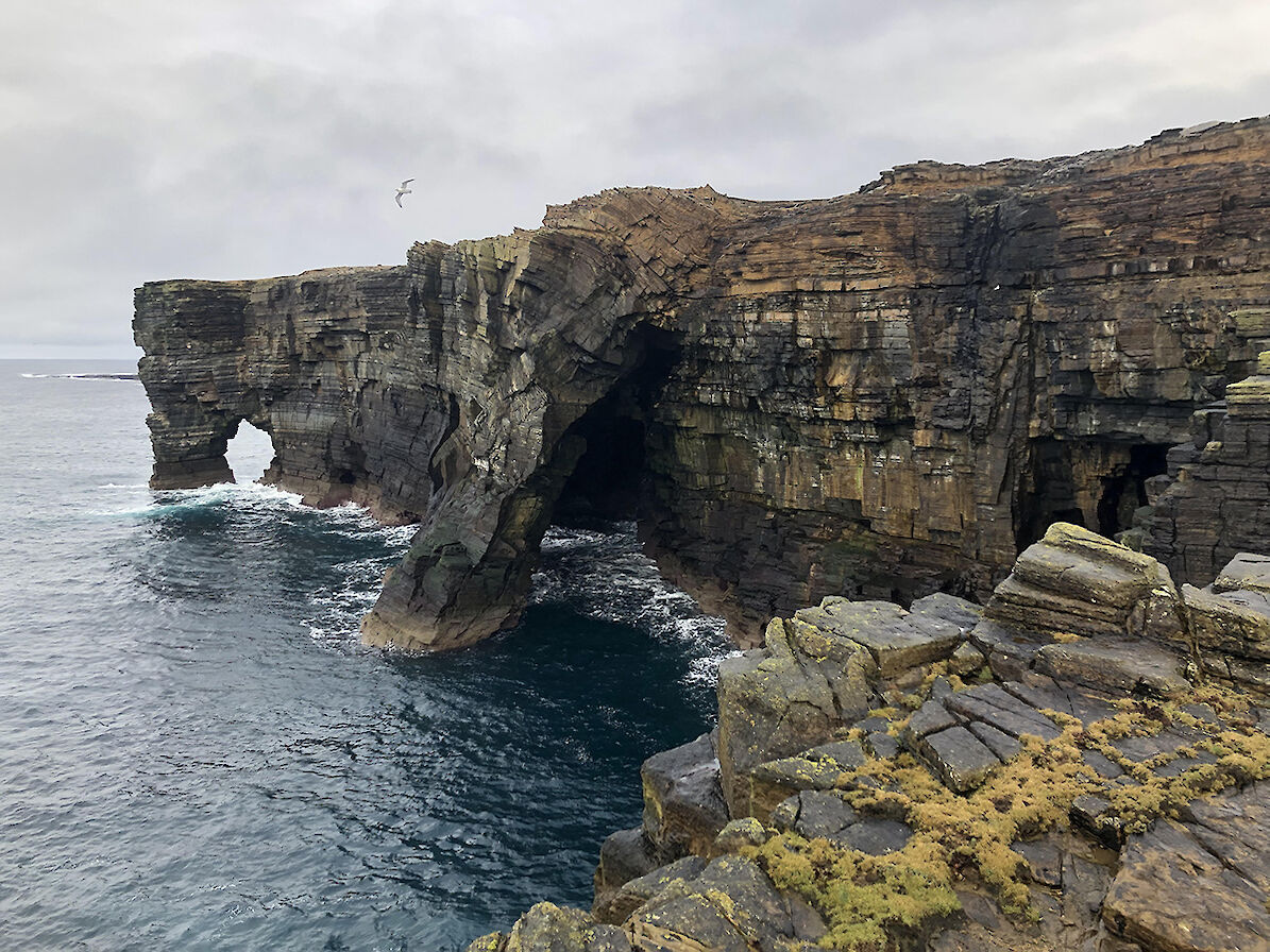 Rousay coastline, Orkney - image by Frances Scott