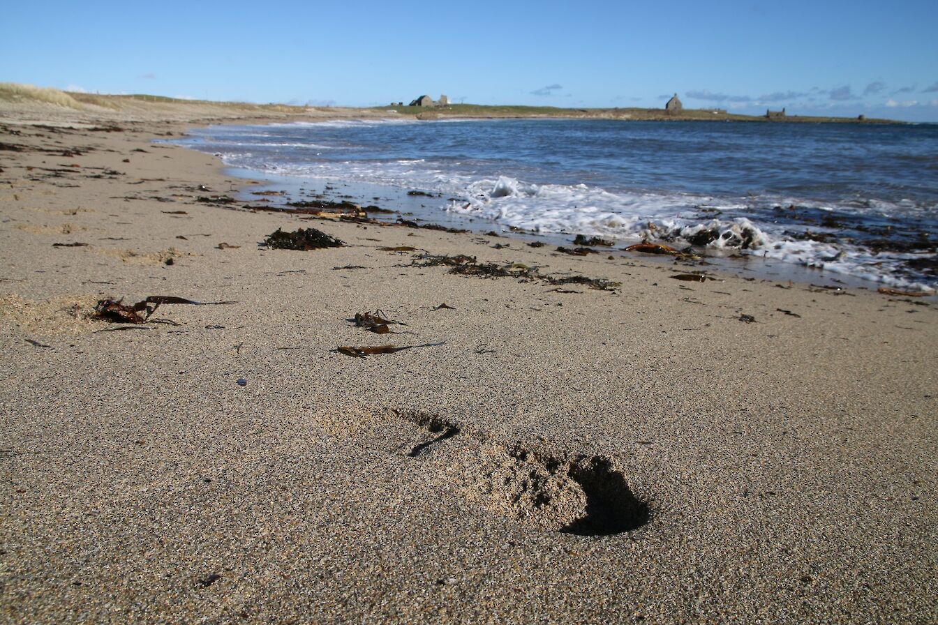 View along the beach at Eastside