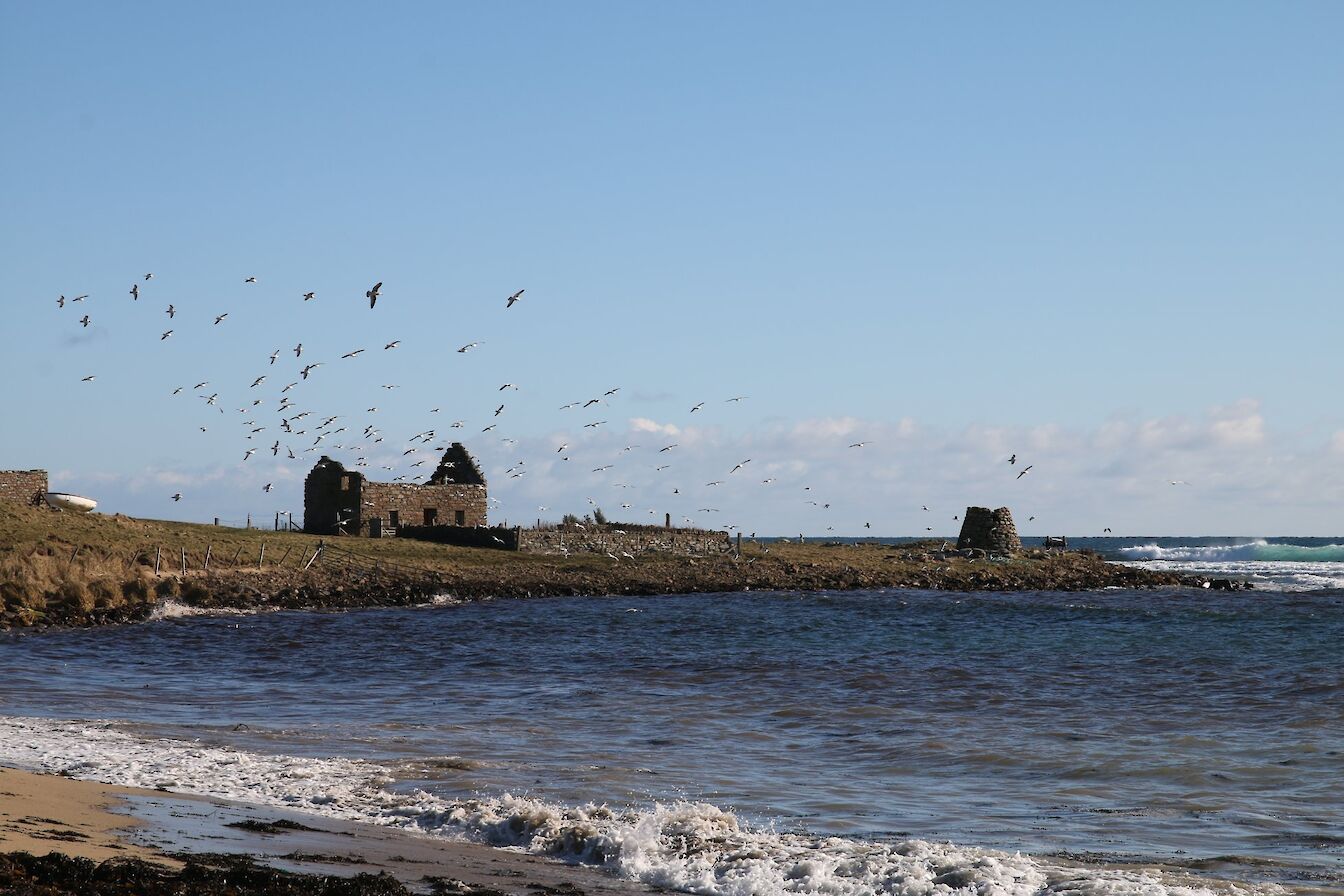 Remains of the old windmill at Eastside
