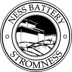 Ness Battery