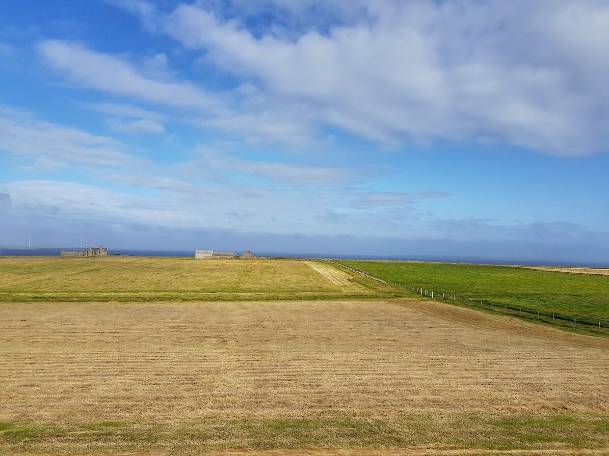 Some of Eday's farmland - image by Susanne Arbuckle