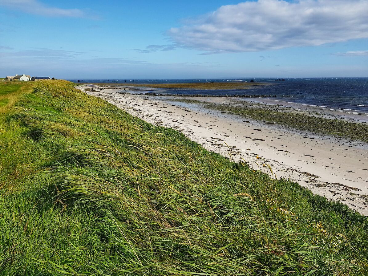 Quiet stretch of coastline in Eday - image by Susanne Arbuckle