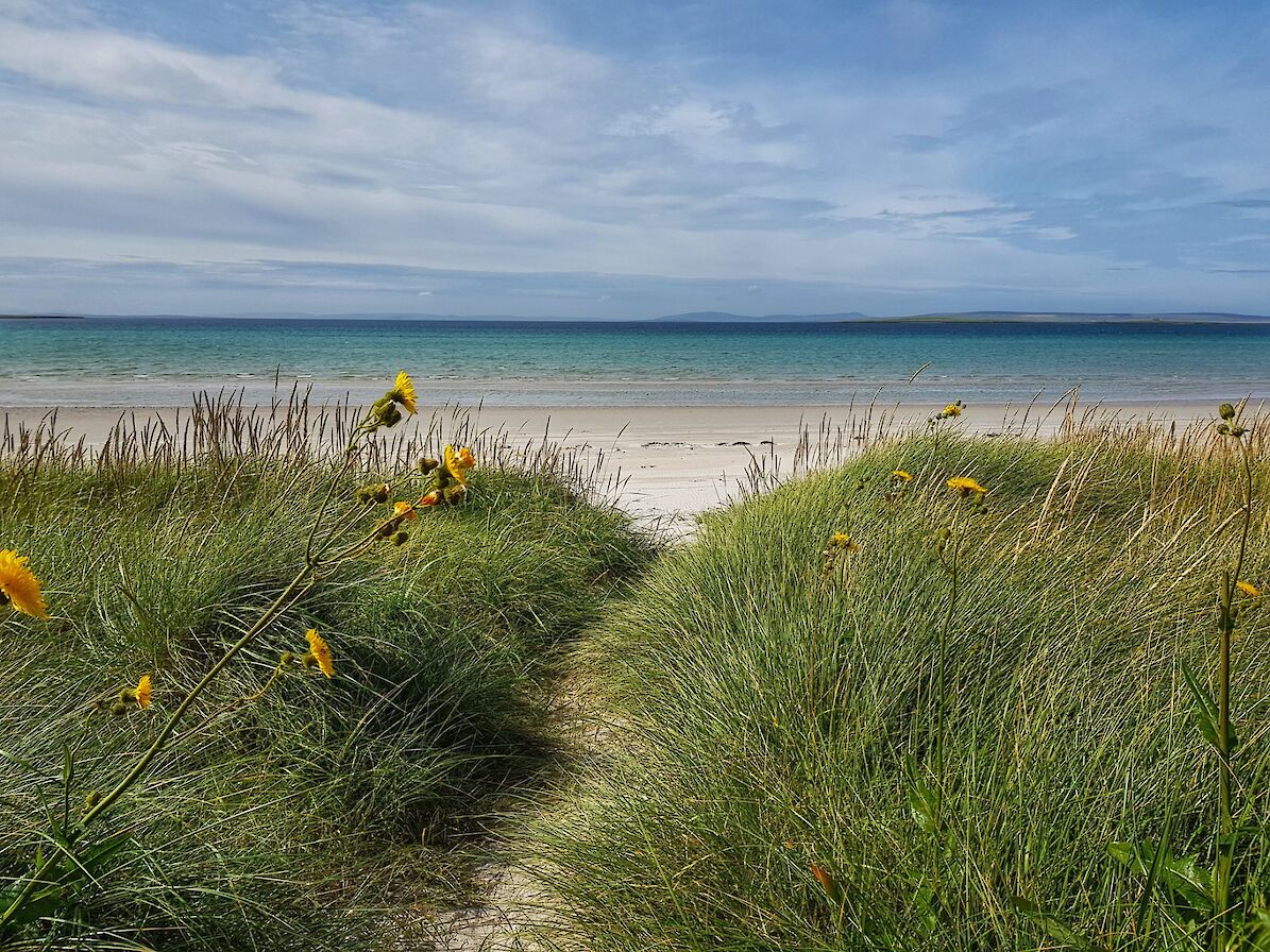One of Stronsay's stunning beaches - image by Susanne Arbuckle