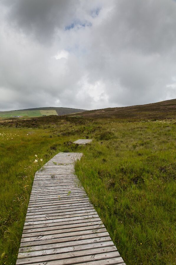 Walk to the Knowes of Trotty, Orkney