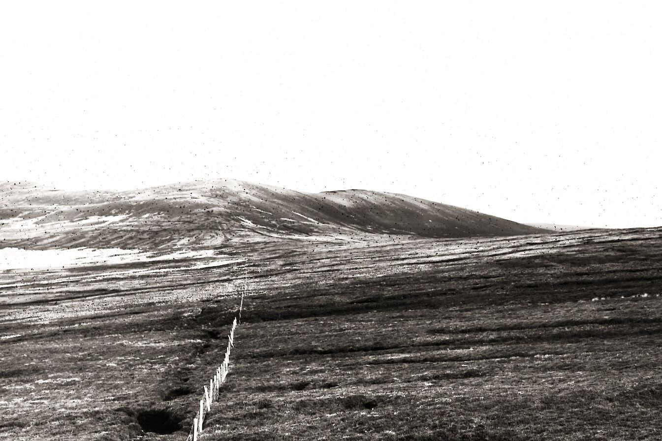 Gruf Hill, Orkney - image by Tomas Hermoso