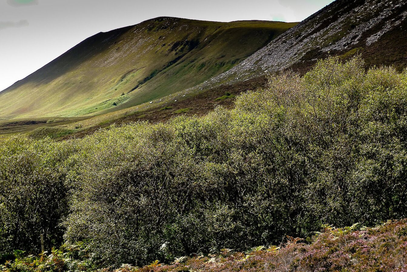 Berriedale, Hoy, Orkney