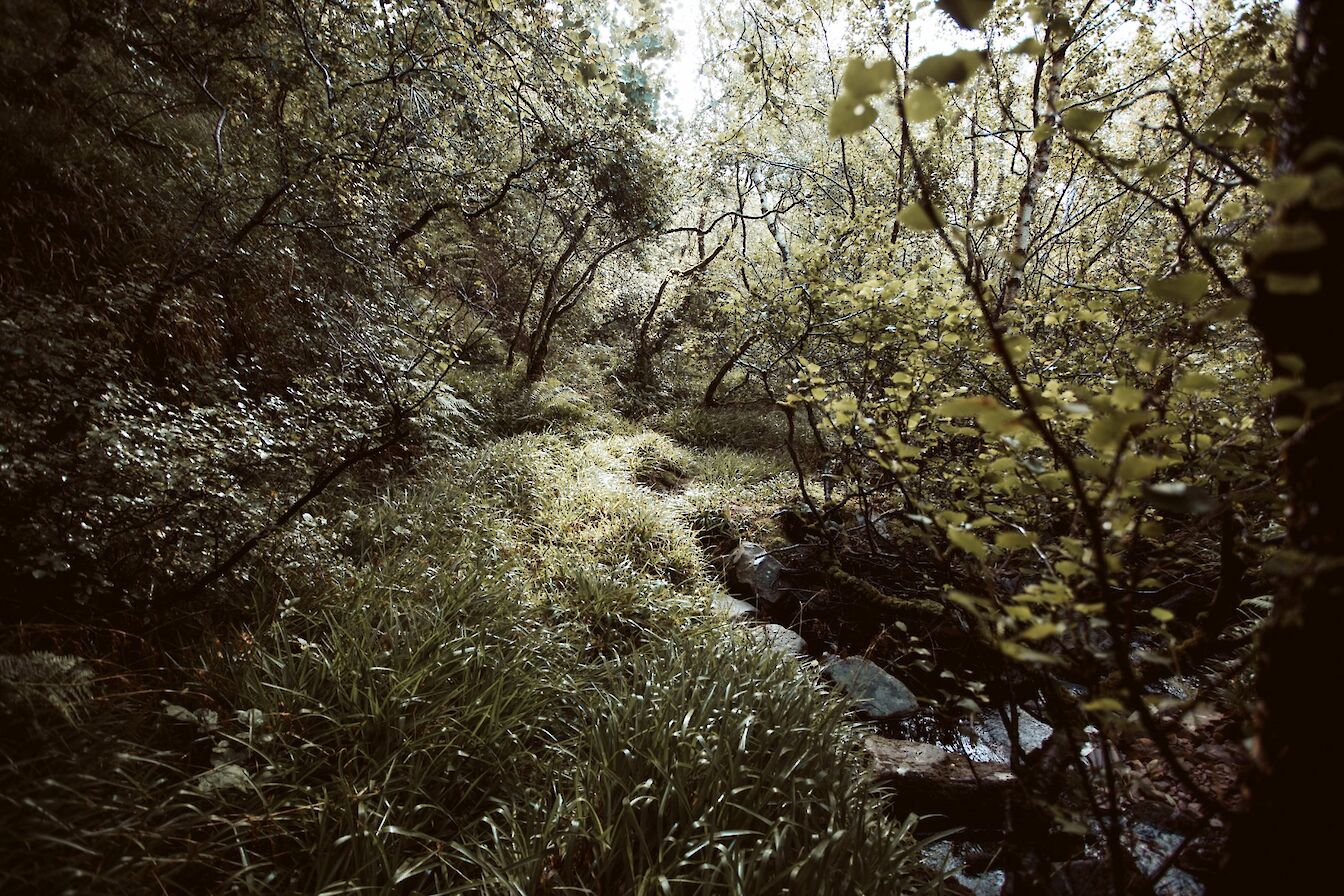 Berriedale, Hoy, Orkney