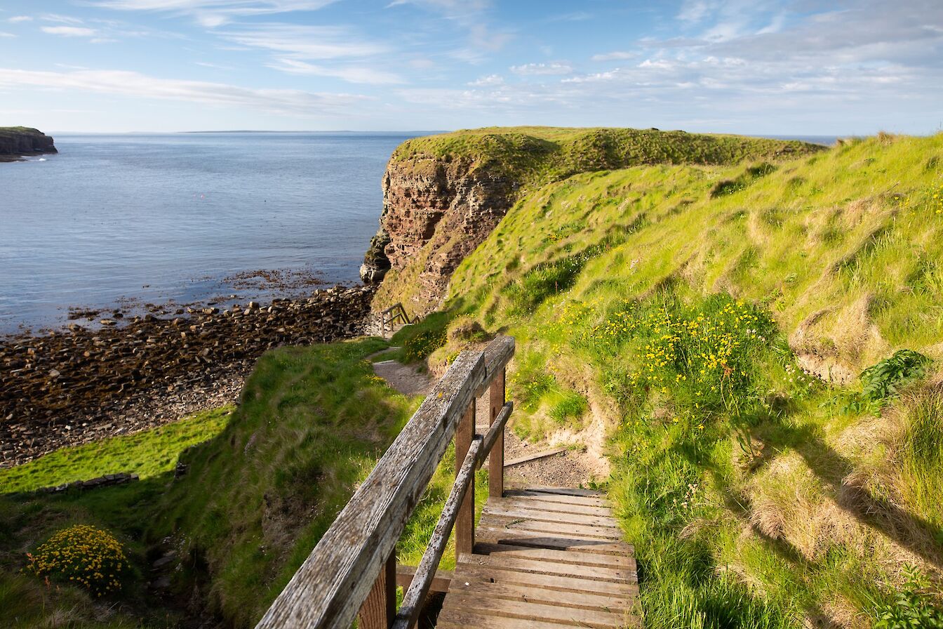 The Brough of Deerness, Orkney