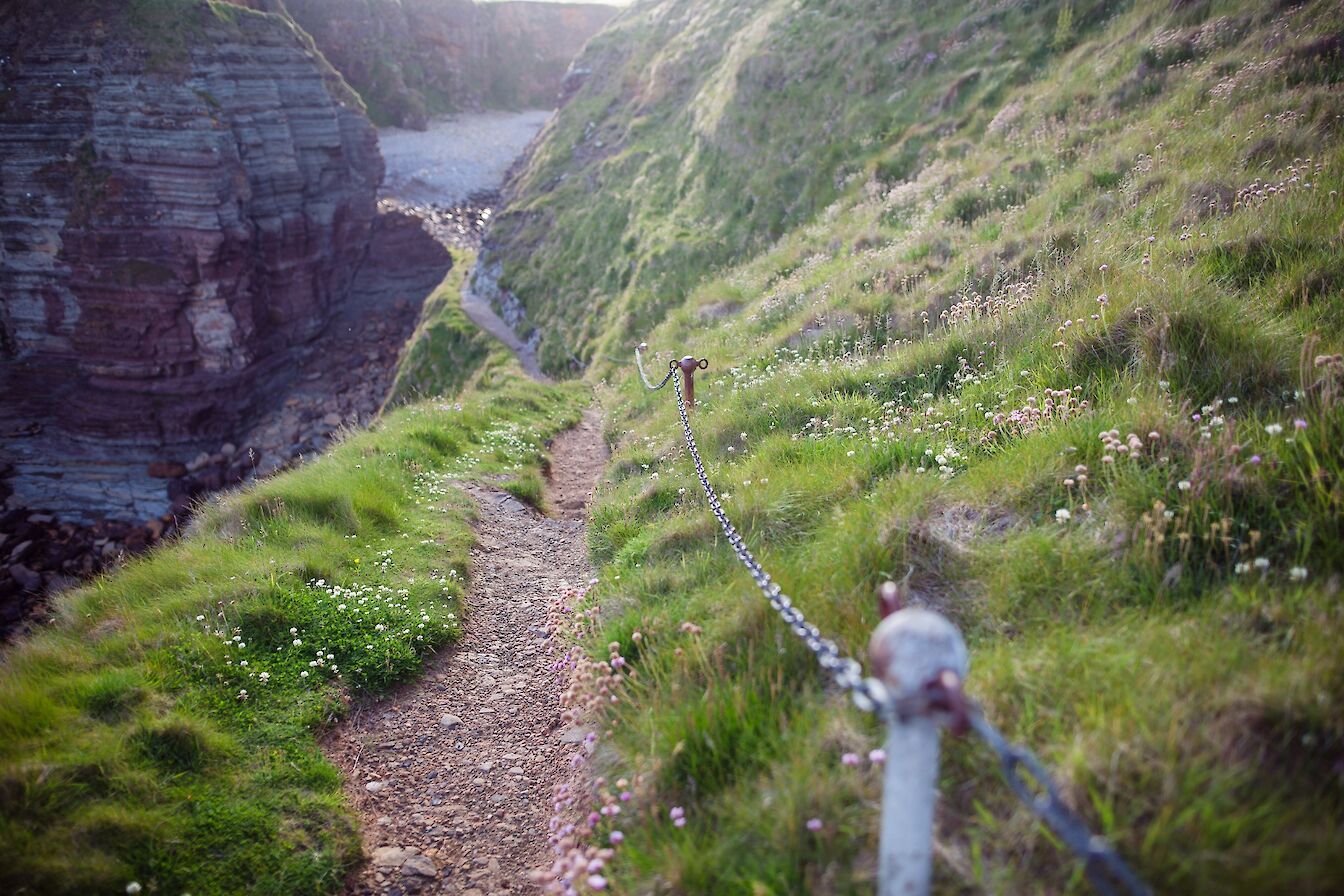 The Brough of Deerness, Orkney