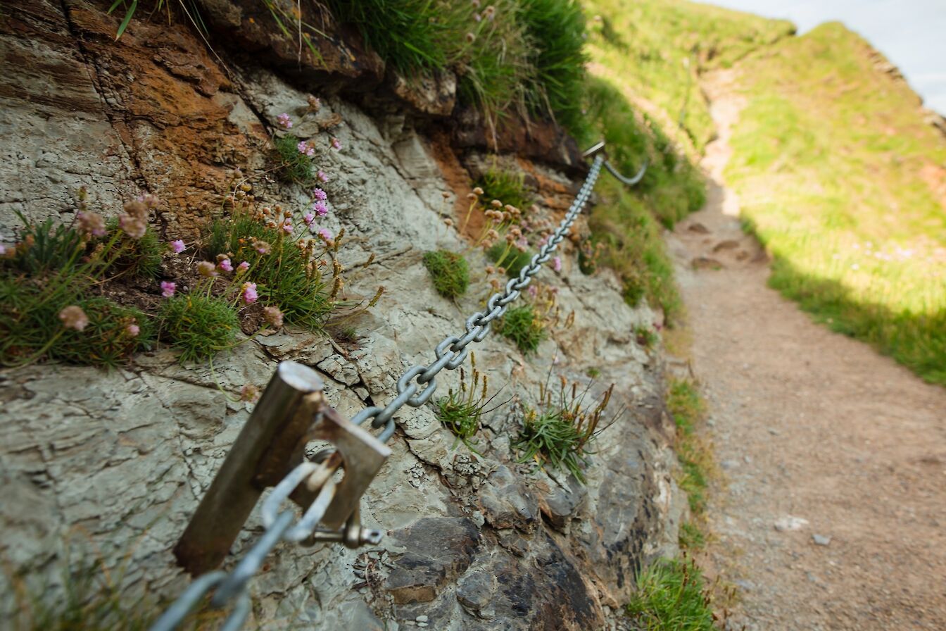 The Brough of Deerness, Orkney