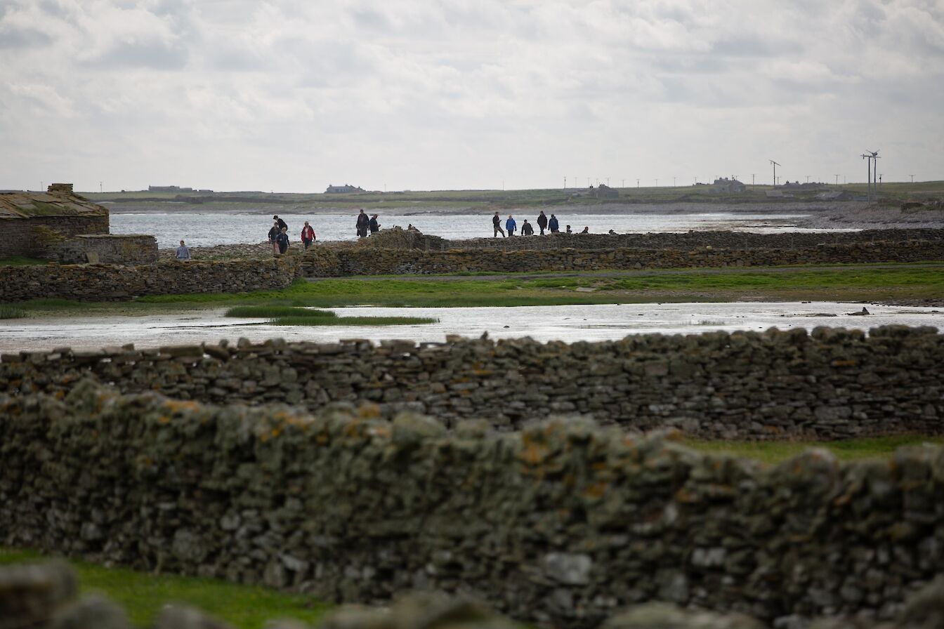 North Ronaldsay Sheep Dyke, Orkney
