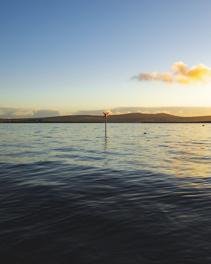 Stromness harbour - image by Ally Velzian
