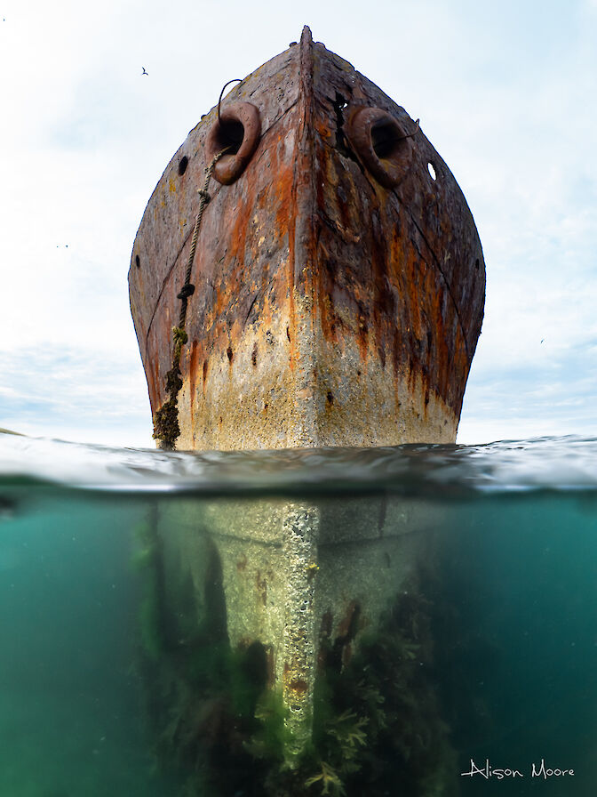 'The Wreck' by Alison Moore