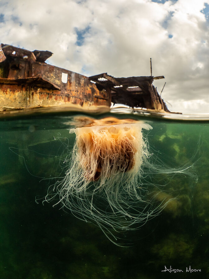 'The Wreck Keeper' by Alison Moore