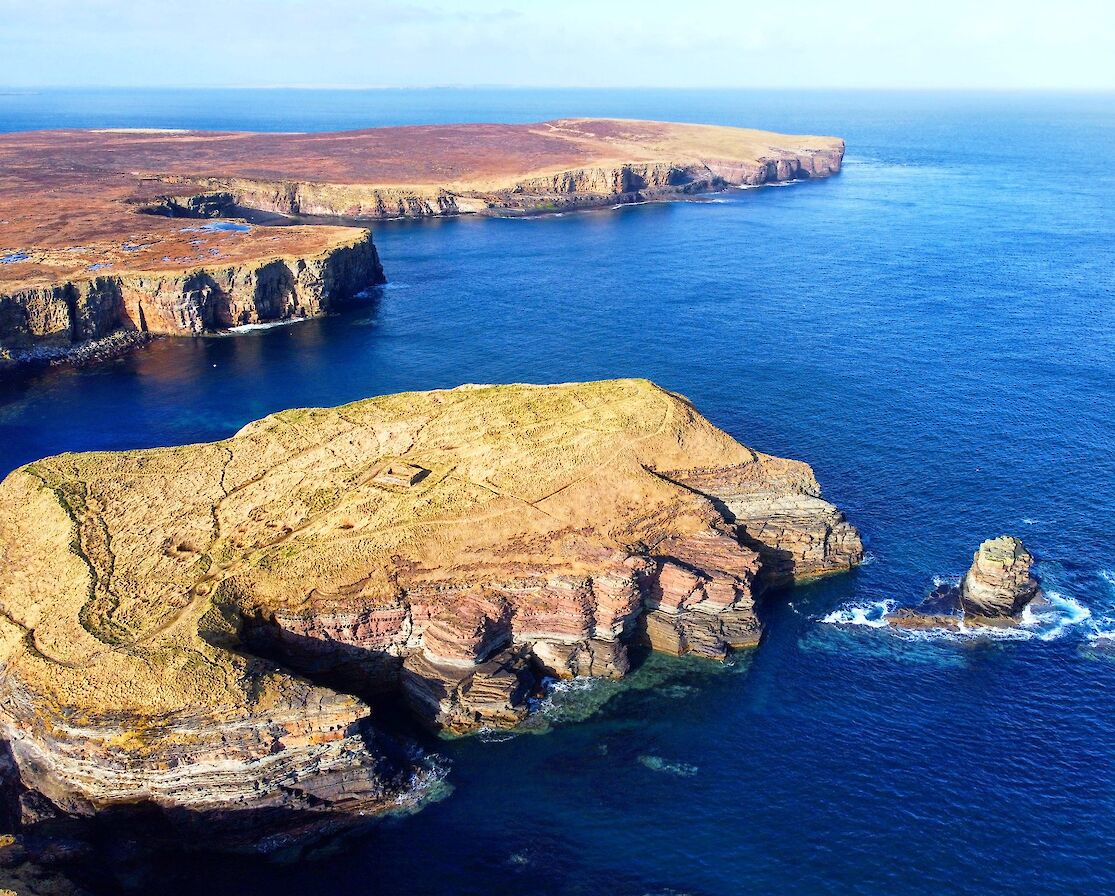 Brough of Deerness, Orkney - image by Scott Desmond
