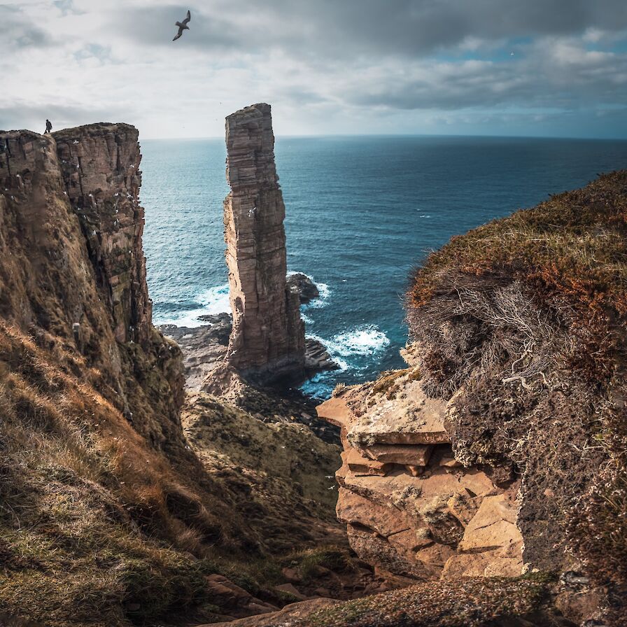 Old Man of Hoy, Orkney - image by Alyona Naberezhnykh