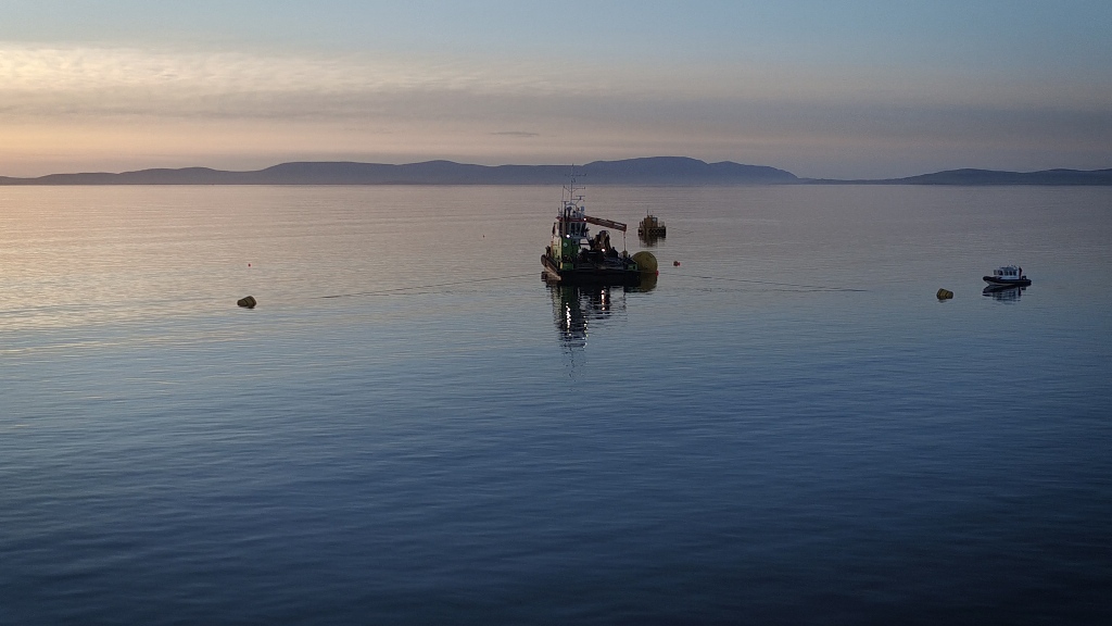 The Green Marine team at work in Scapa Flow, Orkney