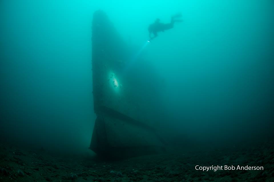 Diving in Orkney - image courtesy of Halton Charters