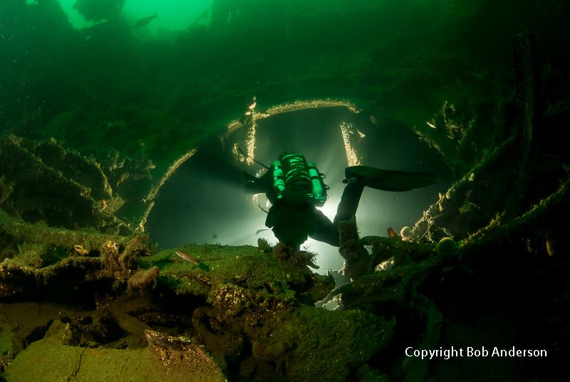 Orkney's wrecks hold many delights for visiting divers - image courtesy of Halton Charters