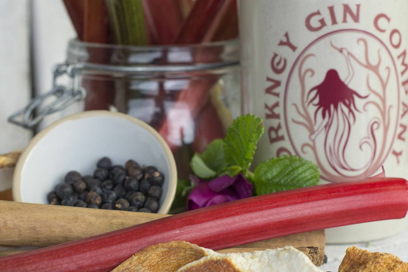 Rhubarb Old Tom from Orkney Gin Company