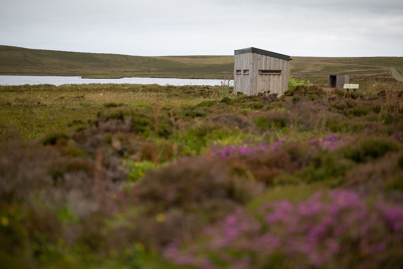 Mill Loch bird hide, Eday