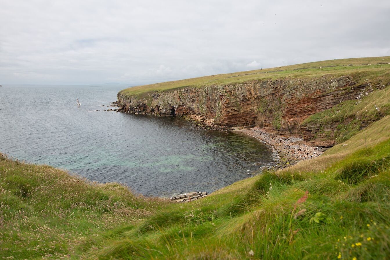 The boulder beach at Dyke End, Eday, Orkney