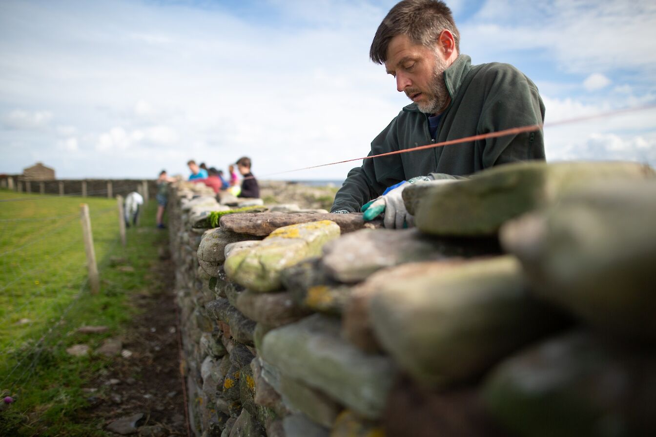 A volunteer hard at work on the sheep dyke