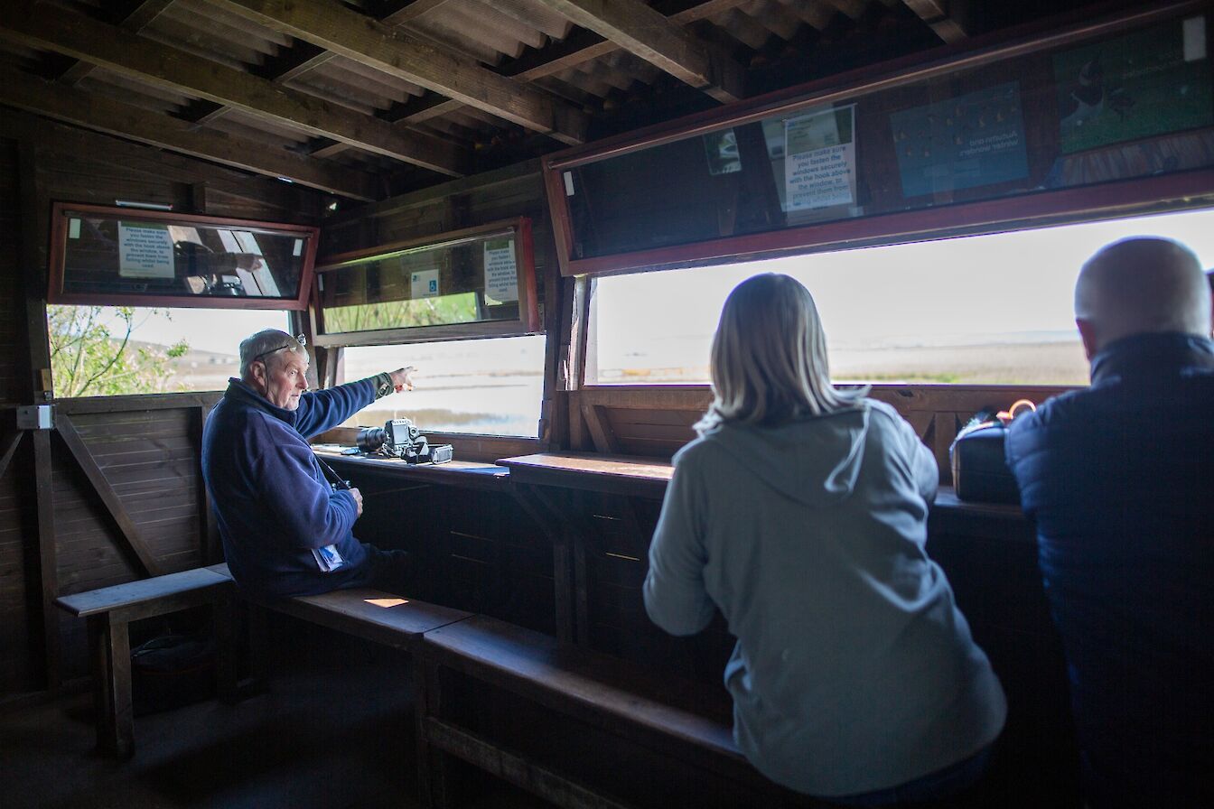 Guide in a Hide birdwatching session, Orkney Nature Festival