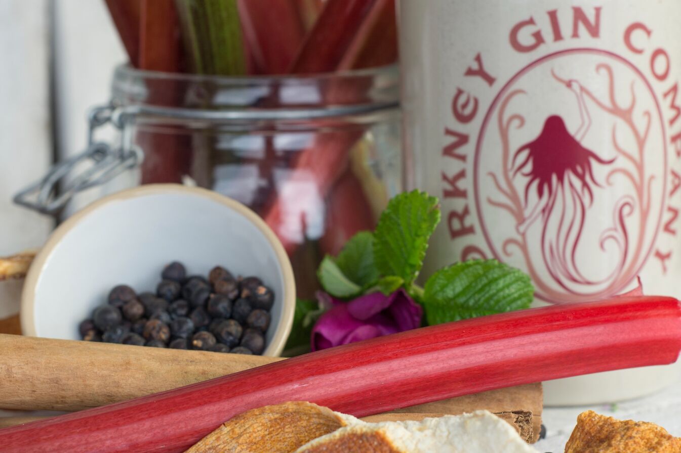 Rhubarb Old Tom Gin from the Orkney Gin Company