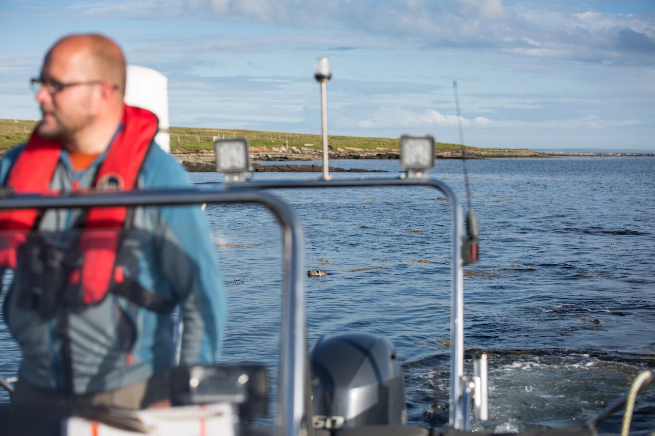 Holm of Papay boat tours