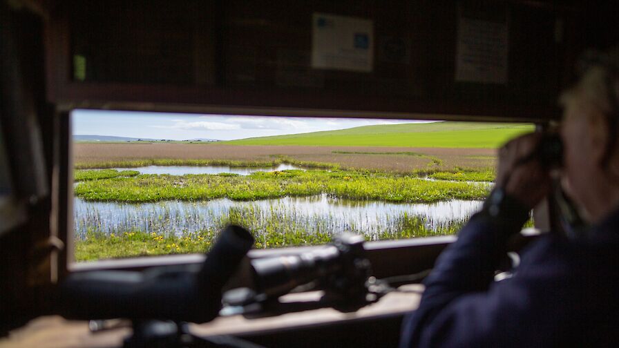 RSPB hide at The Loons, Orkney