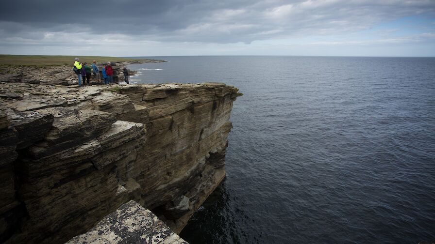 Cliffs at North Hill, Papa Westray