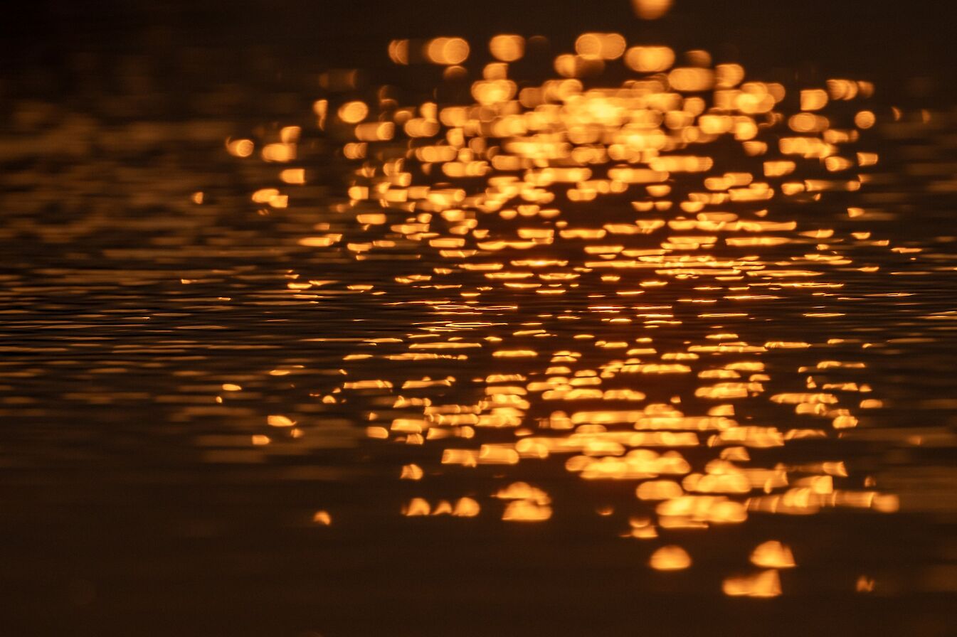 Sunlight reflecting in pool, Orkney - image by Raymond Besant