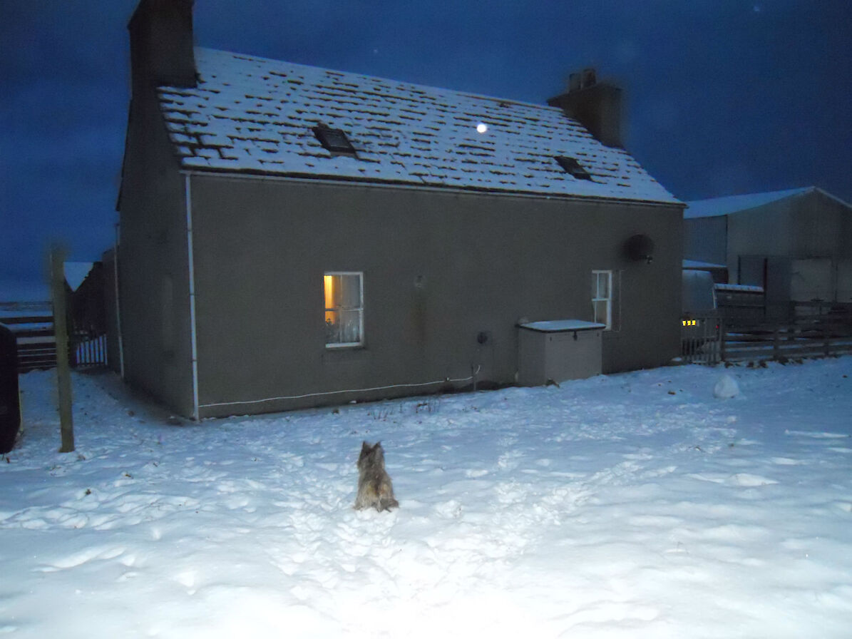 My House in Orkney