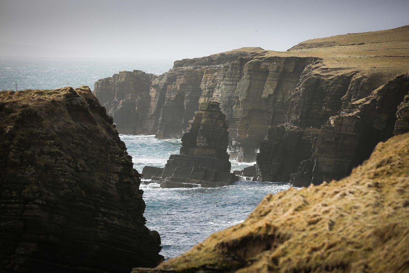 Hill of White Hamars, South Walls, Orkney