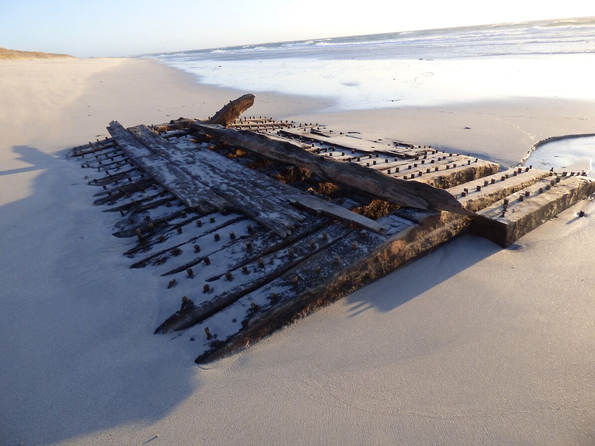 Shipwreck find on the beach in Sanday - image by Orkney Islands Council Archaeologist, Paul Sharman