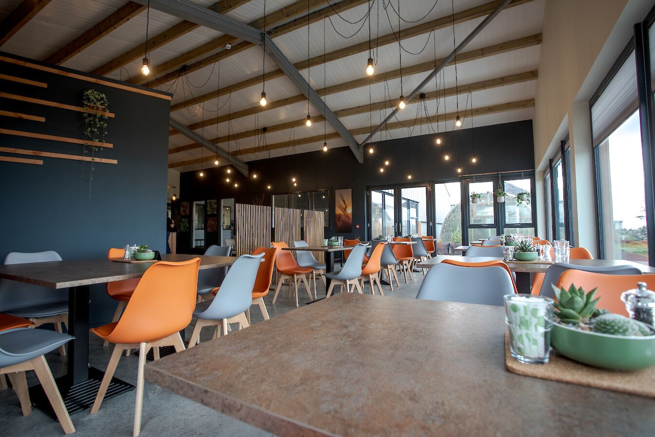 Interior view of the new Dashing Deer Kitchen & Bar