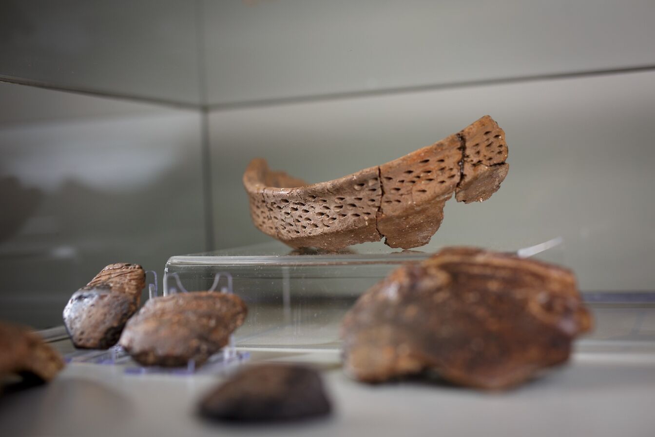 Tomb of the Eagles finds, Orkney