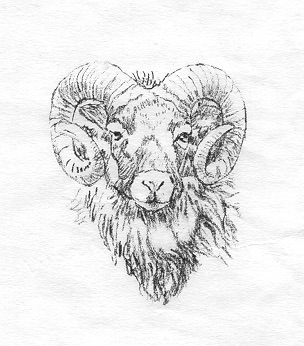 The Woolshed Logo