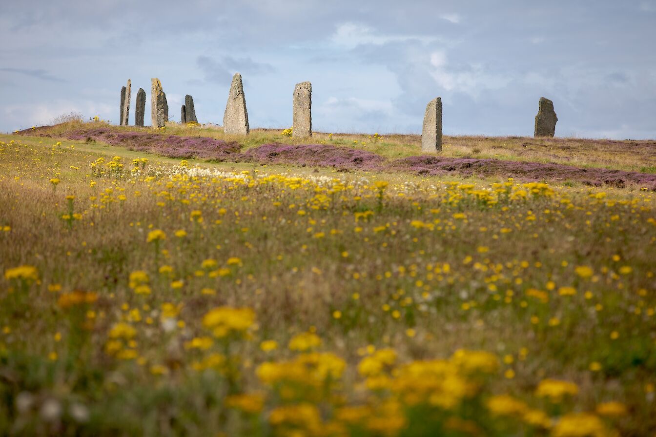 Ring of Brodgar, Orkney