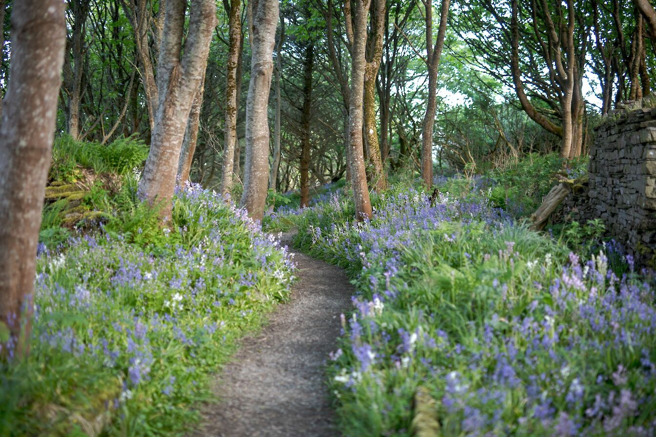 Happy Valley, Orkney