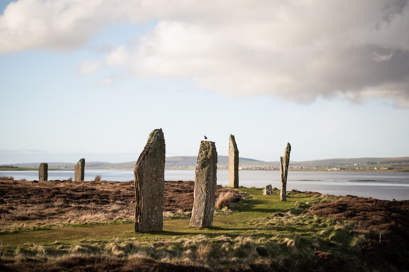 The Ring of Brodgar, Orkney