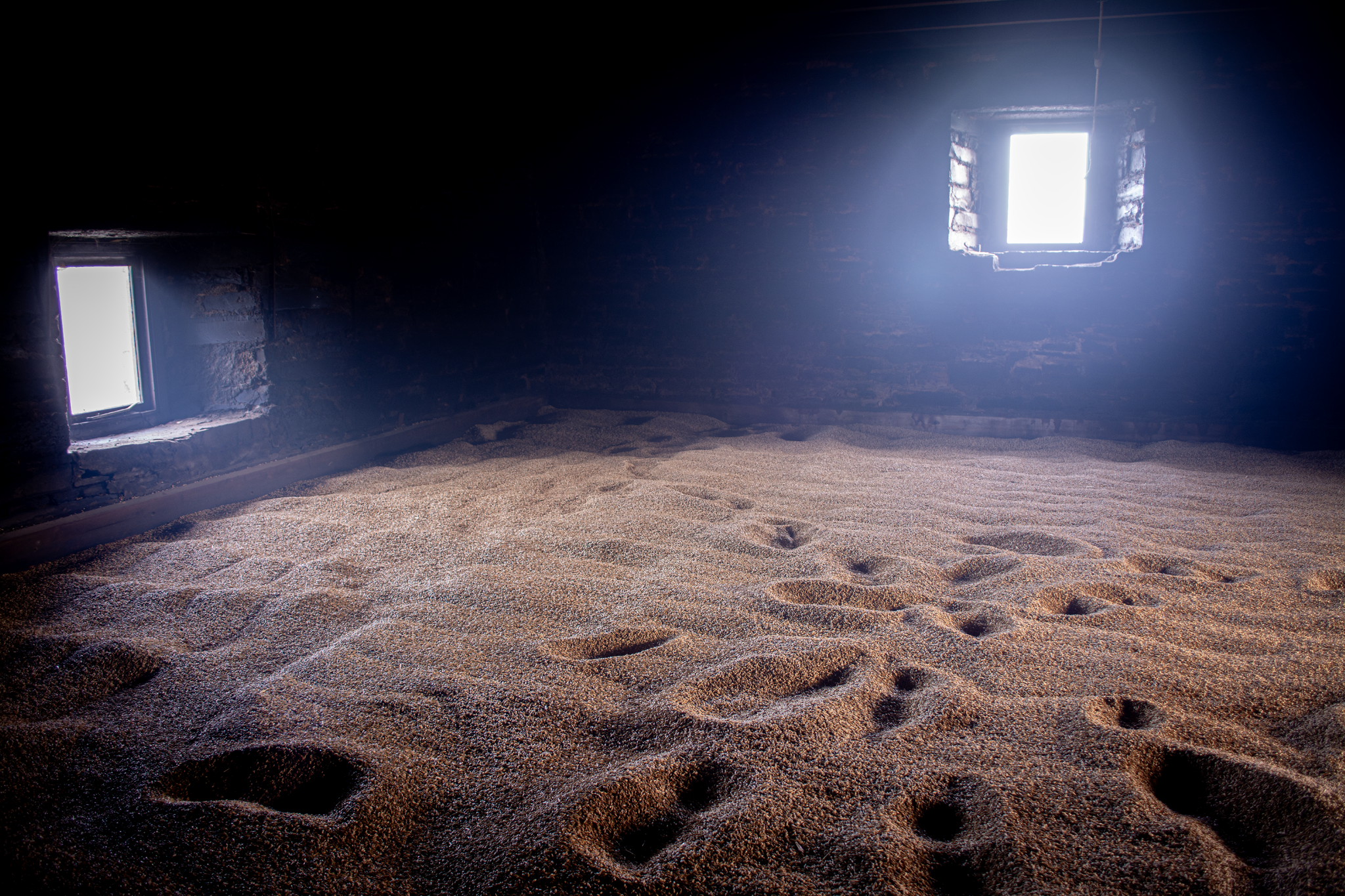 Bere drying in the kiln, Barony Mill, Orkney