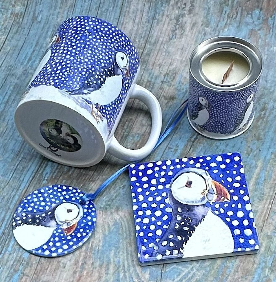 Puffin in the snow collection