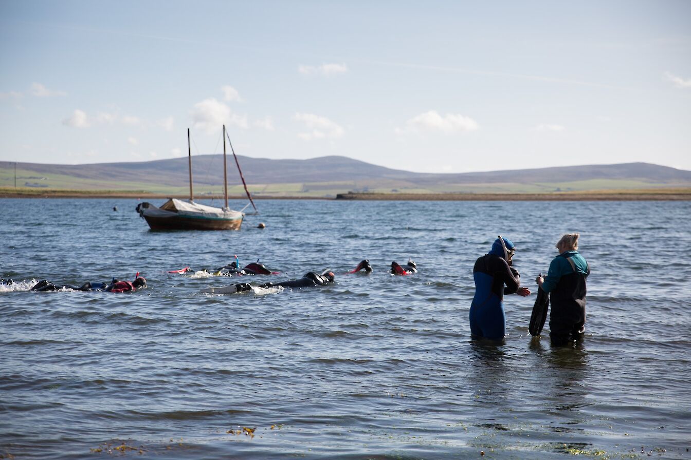 Snorkelling at Stromness Museum, Orkney