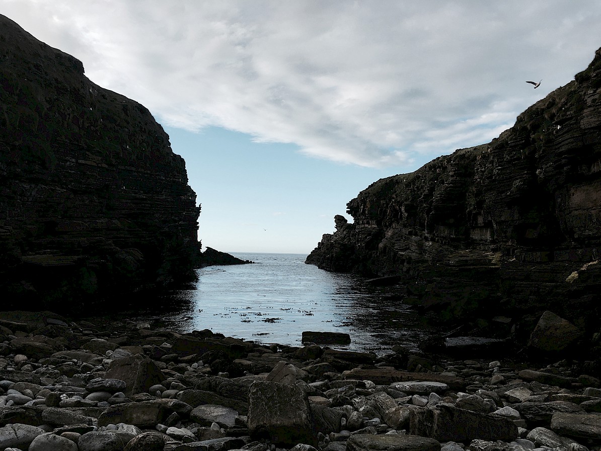Holm of Papay - Boat Trips, Orkney