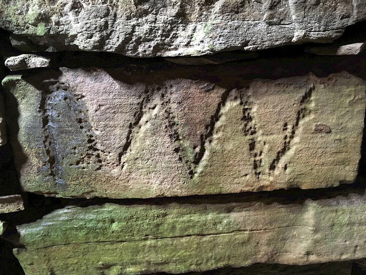 Holm of Papay - Boat Trips, Orkney